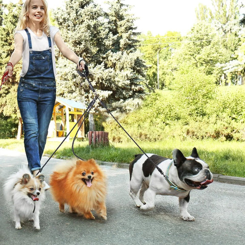 3-in-1 Triple Dog Leash with Padded Handle Multifunction Detachable Nylon Pet Leash for Outdoor Walking Hiking Dog Traction Rope