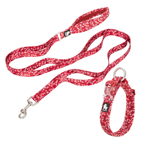 Winhyepet Floral Dog Collar Traveling Walking Outdoors Comfort Padded with Buckle Collar For All Breeds Husky Chihuahua Pitbull