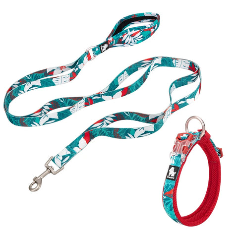 Winhyepet Floral Dog Collar Traveling Walking Outdoors Comfort Padded with Buckle Collar For All Breeds Husky Chihuahua Pitbull