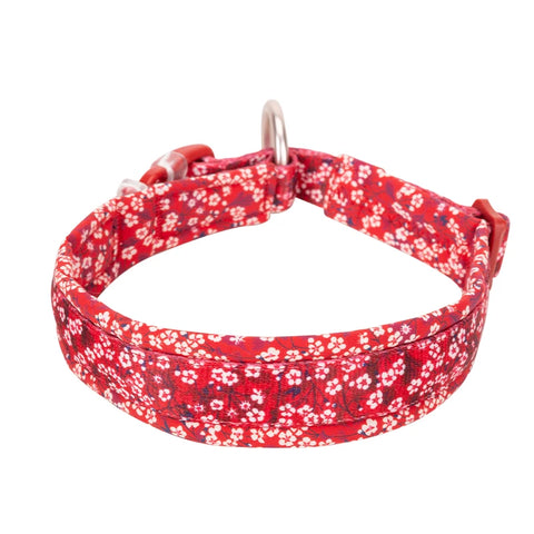 Winhyepet Floral Dog Collar Traveling Walking Outdoors Comfort Padded with Buckle Collar For All Breeds Husky Chihuahua Pitbull