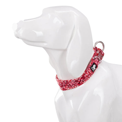 Winhyepet Floral Dog Collar Traveling Walking Outdoors Comfort Padded with Buckle Collar For All Breeds Husky Chihuahua Pitbull