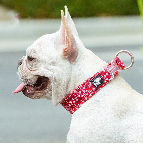 Winhyepet Floral Dog Collar Traveling Walking Outdoors Comfort Padded with Buckle Collar For All Breeds Husky Chihuahua Pitbull